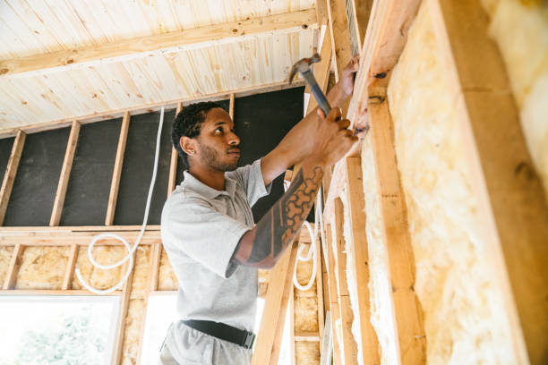 Best Spray Foam Insulation  in Mayville, ND